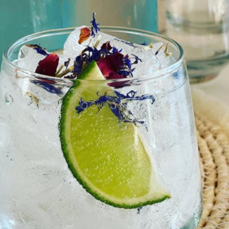 A glass of sparkling effervescent clear liquid, ice, a slice of lime and edible flowers sprinkled on top.