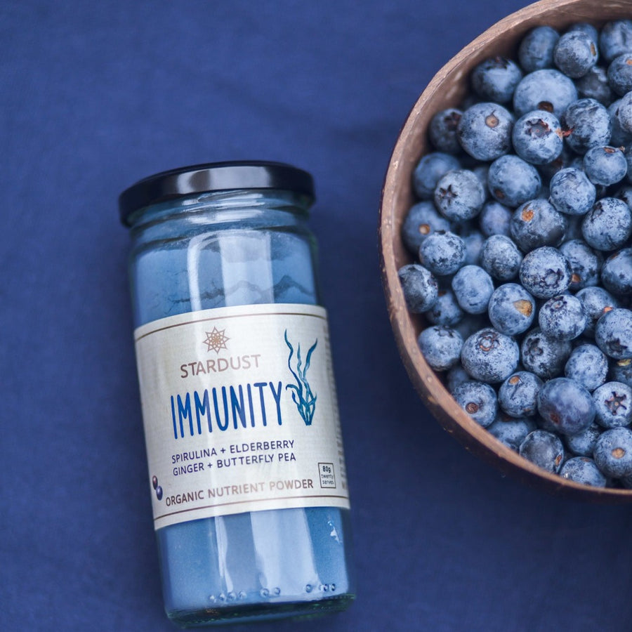 A glass jar of Stardust Blue Immunity Organic Nutrient Powder with Spirulina, elderberry, ginger and butterfly pea ingredients.  Bottle is lying next to a bowl of fresh blueberries